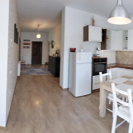 Apartament De Lux Cu Terasa Daire Temeşvar Dış mekan fotoğraf