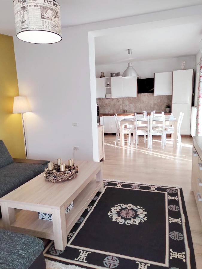 Apartament De Lux Cu Terasa Daire Temeşvar Dış mekan fotoğraf